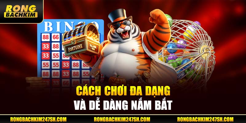 Cách Chơi Đa Dạng Và Dễ Dàng Nắm Bắt