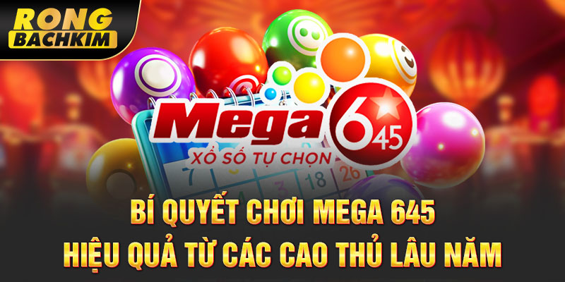 Bí quyết chơi Mega 645 hiệu quả từ các cao thủ lâu năm