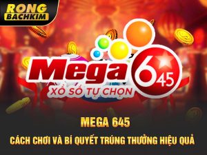 Mega 645 – Cách Chơi Và Bí Quyết Trúng Thưởng Hiệu Quả