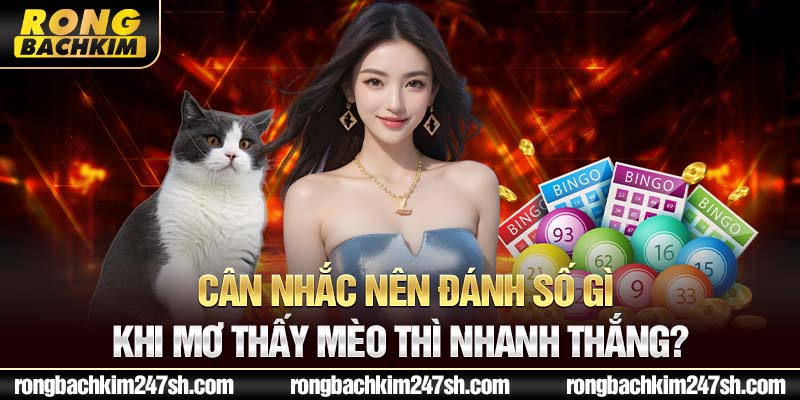 Cân nhắc nên đánh số gì khi mơ thấy mèo thì nhanh thắng?