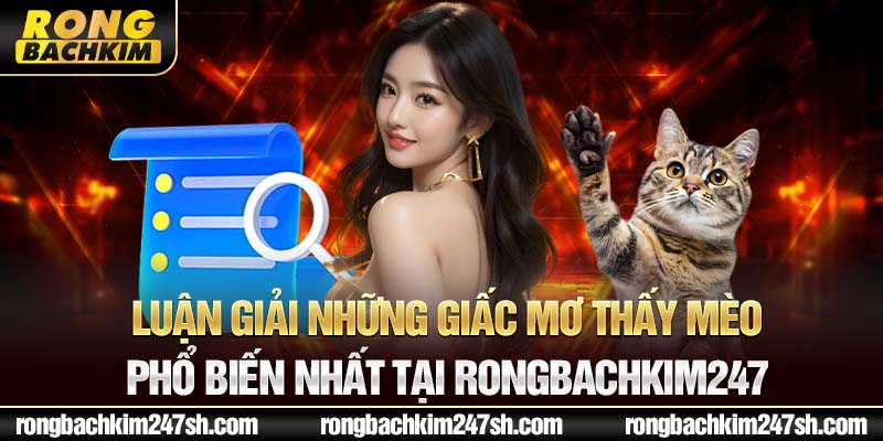 Luận giải những giấc mơ thấy mèo phổ biến nhất tại Rongbachkim 