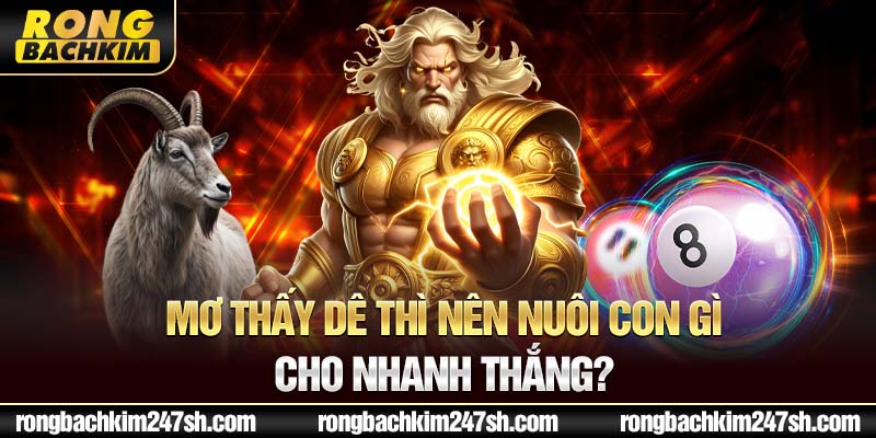 Mơ thấy dê thì nên nuôi con gì cho nhanh thắng?