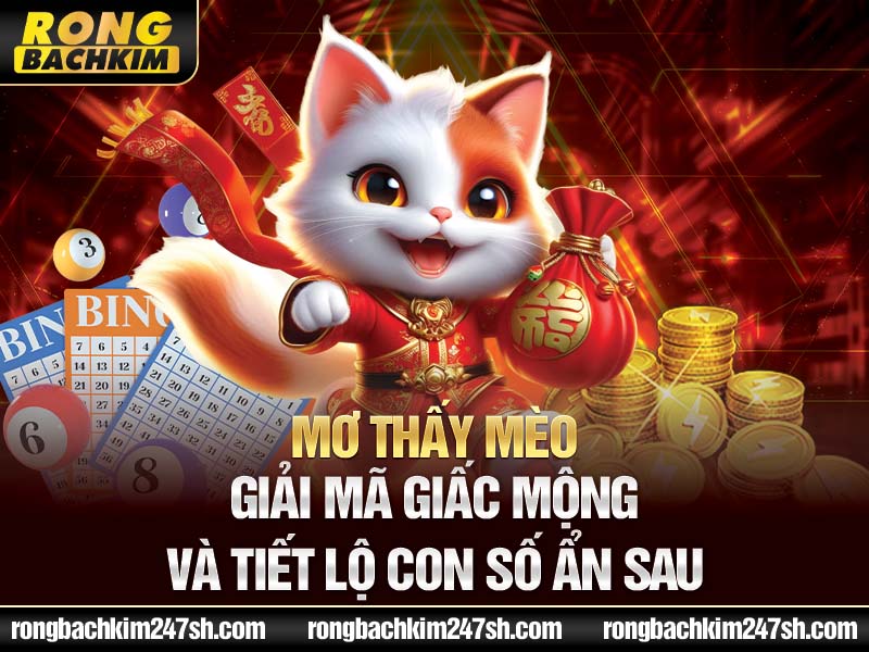 Mơ Thấy Mèo – Giải Mã Giấc Mộng Và Tiết Lộ Con Số Ẩn Sau