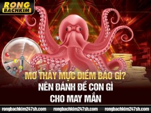 Mơ Thấy Mực Điềm Báo Gì? Nên Đánh Đề Con Gì Cho May Mắn