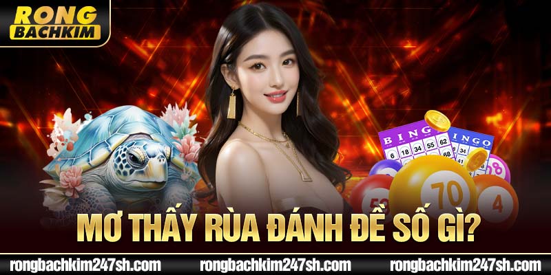 Mơ thấy rùa đánh đề số gì?