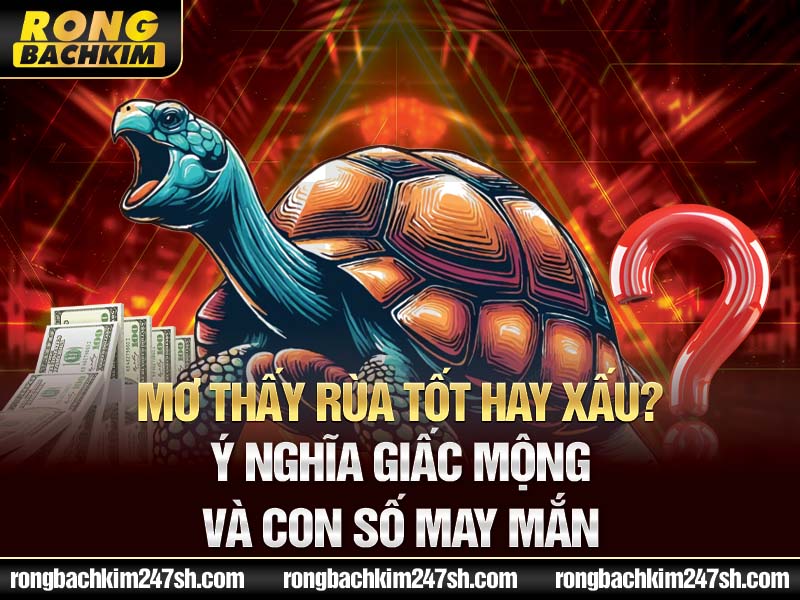 Mơ Thấy Rùa Tốt Hay Xấu? Ý Nghĩa Giấc Mộng Và Con Số May Mắn