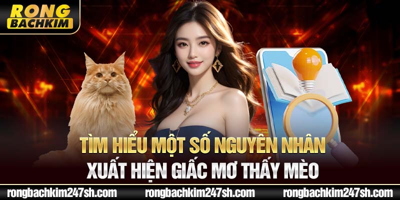 Tìm hiểu một số nguyên nhân xuất hiện giấc mơ thấy mèo