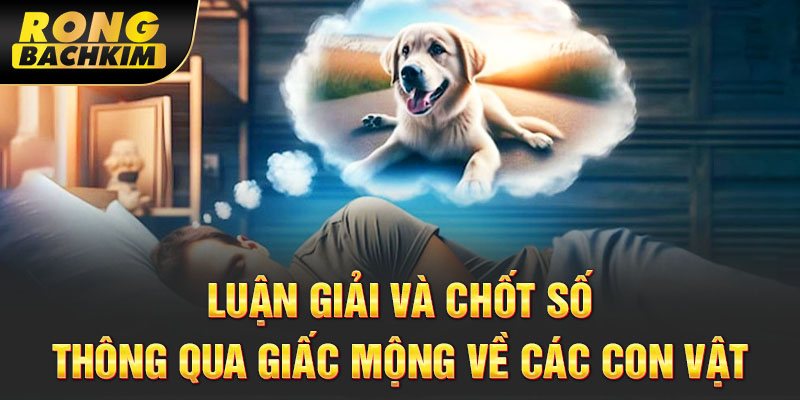 Luận giải và chốt số thông qua giấc mộng về các con vật